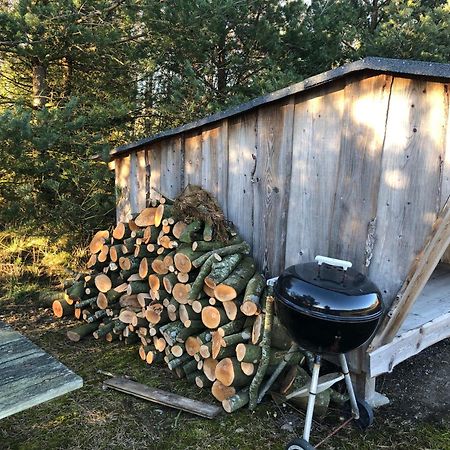 Egebjerggaard Bed & Breakfast Sig Exteriör bild