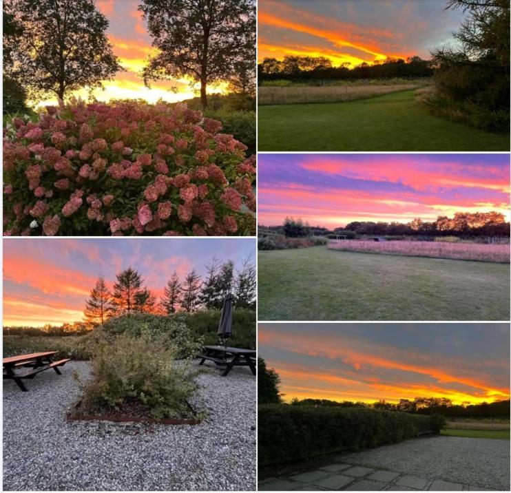 Egebjerggaard Bed & Breakfast Sig Exteriör bild