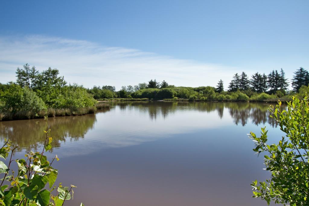 Egebjerggaard Bed & Breakfast Sig Rum bild